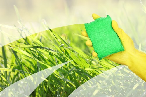 Cleaning supplies used for mattress cleaning at home