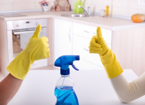 Clean carpet fibers after professional extraction cleaning