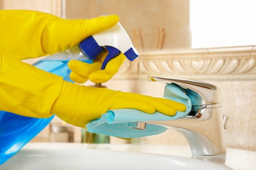 Detailed bathroom deep cleaning with grout and fixture care