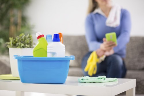 Bathroom sanitizing as part of one off cleaning
