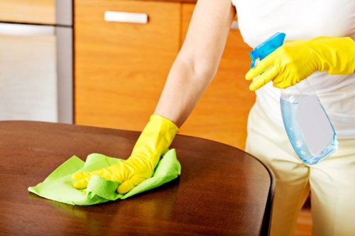 Deep cleaning kitchen surfaces during a one off cleaning service